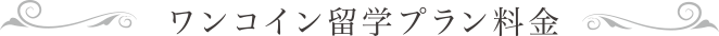 ワンコイン留学プラン料金